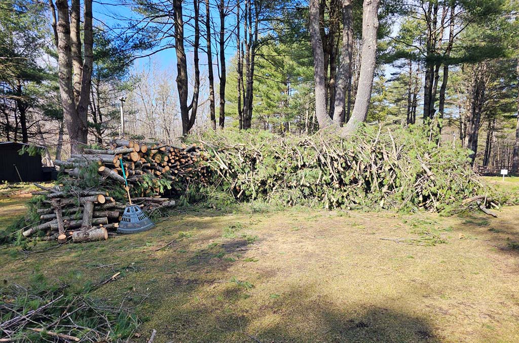 cut and staked branches from ice storm ready to burn