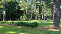 view of course with hydrangeas in front and two teams playing different holes in the distance