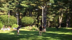 Golfers Playing Various Holes at Pine Hollow Little Par 3 Course