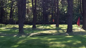 golf course - view of 2 red flags among tall pines