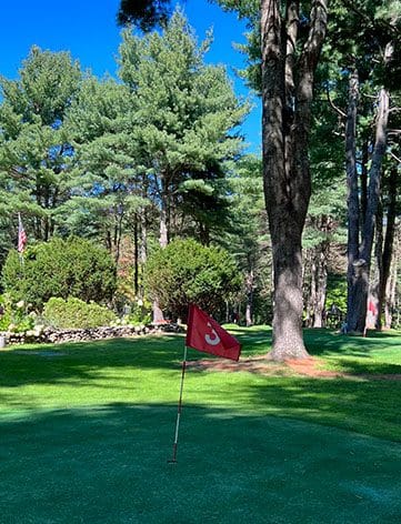 flag at hole 3